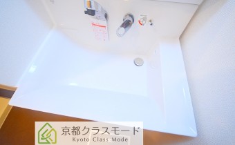 シャンプードレッサー