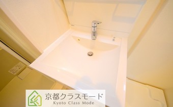 シャンプードレッサー