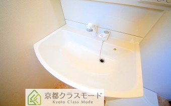 シャンプードレッサー