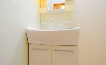 シャンプードレッサー