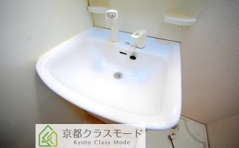 シャンプードレッサー