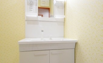 シャンプードレッサー