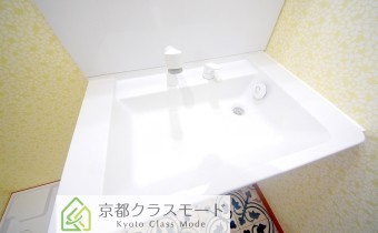 シャンプードレッサー