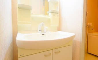 シャンプードレッサー