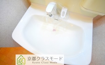 シャンプードレッサー