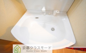 シャンプードレッサー