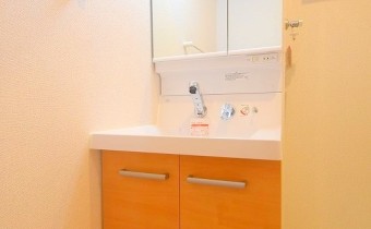 シャンプードレッサー
