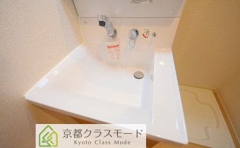 シャンプードレッサー
