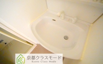 シャンプードレッサー