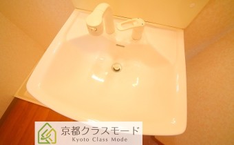 シャンプードレッサー