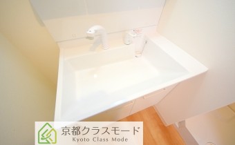 シャンプードレッサー