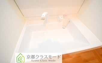 シャンプードレッサー