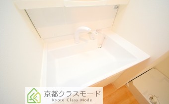 シャンプードレッサー