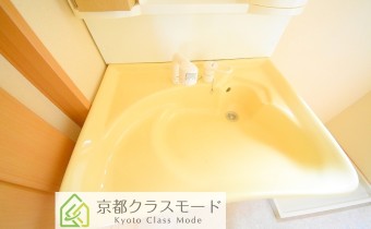 シャンプードレッサー