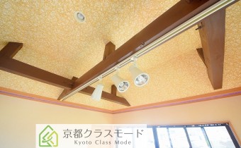 ダクトレール照明
