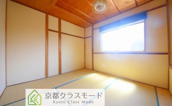 和 5.3