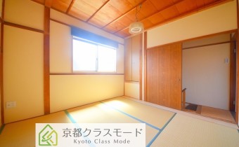 和 5.3