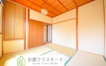 和 5.3