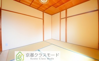 和 5.3
