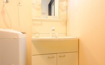 シャンプードレッサー