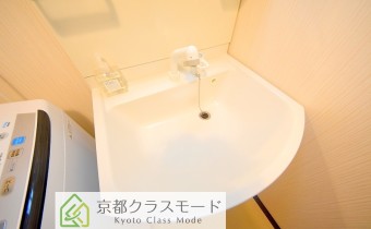 シャンプードレッサー