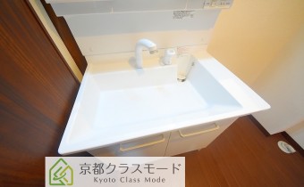 シャンプードレッサー