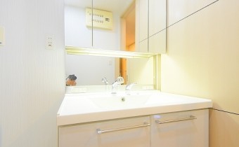 シャンプードレッサー