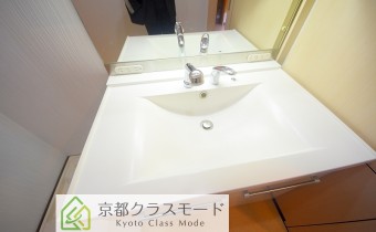 シャンプードレッサー