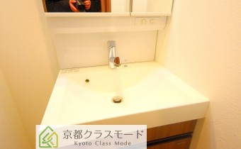 シャンプードレッサー