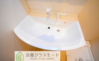 シャンプードレッサー