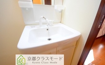 シャンプードレッサー