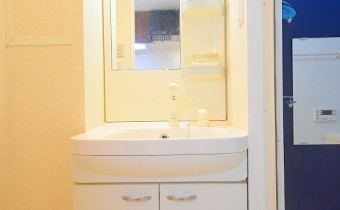 シャンプードレッサー