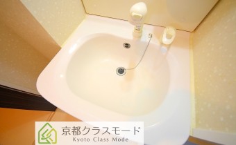 シャンプードレッサー