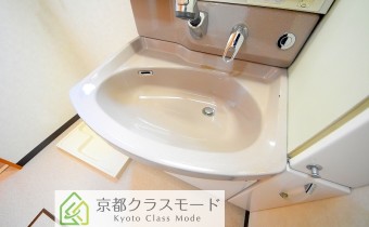 シャンプードレッサー