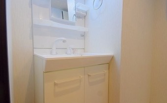 シャンプードレッサー