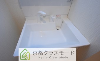 シャンプードレッサー
