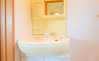 シャンプードレッサー