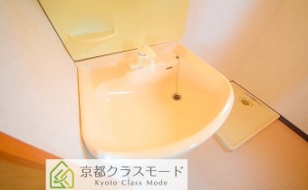 シャンプードレッサー