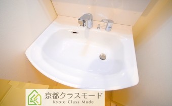シャンプードレッサー