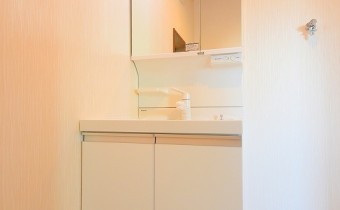 シャンプードレッサー