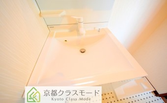 シャンプードレッサー