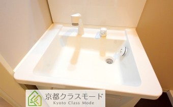 シャンプードレッサー