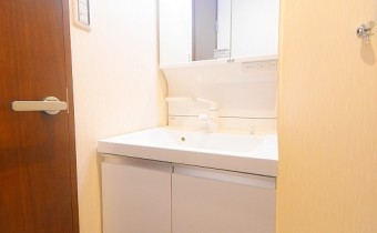 シャンプードレッサー