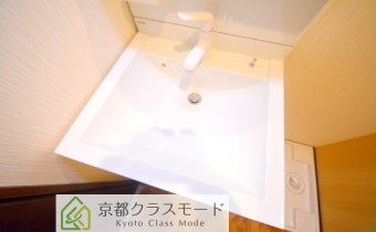 シャンプードレッサー
