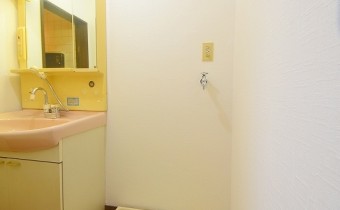 室内洗濯機置場