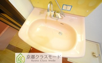 シャンプードレッサー