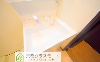 シャンプードレッサー