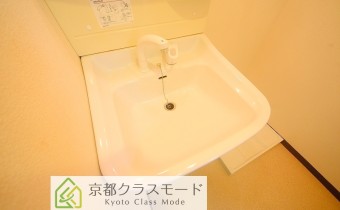 シャンプードレッサー