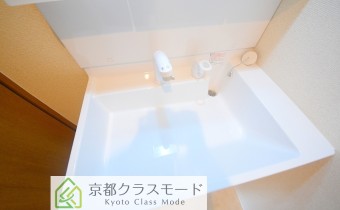 シャンプードレッサー