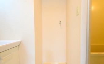 室内洗濯機置き場